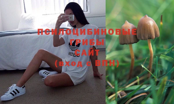 каннабис Аркадак
